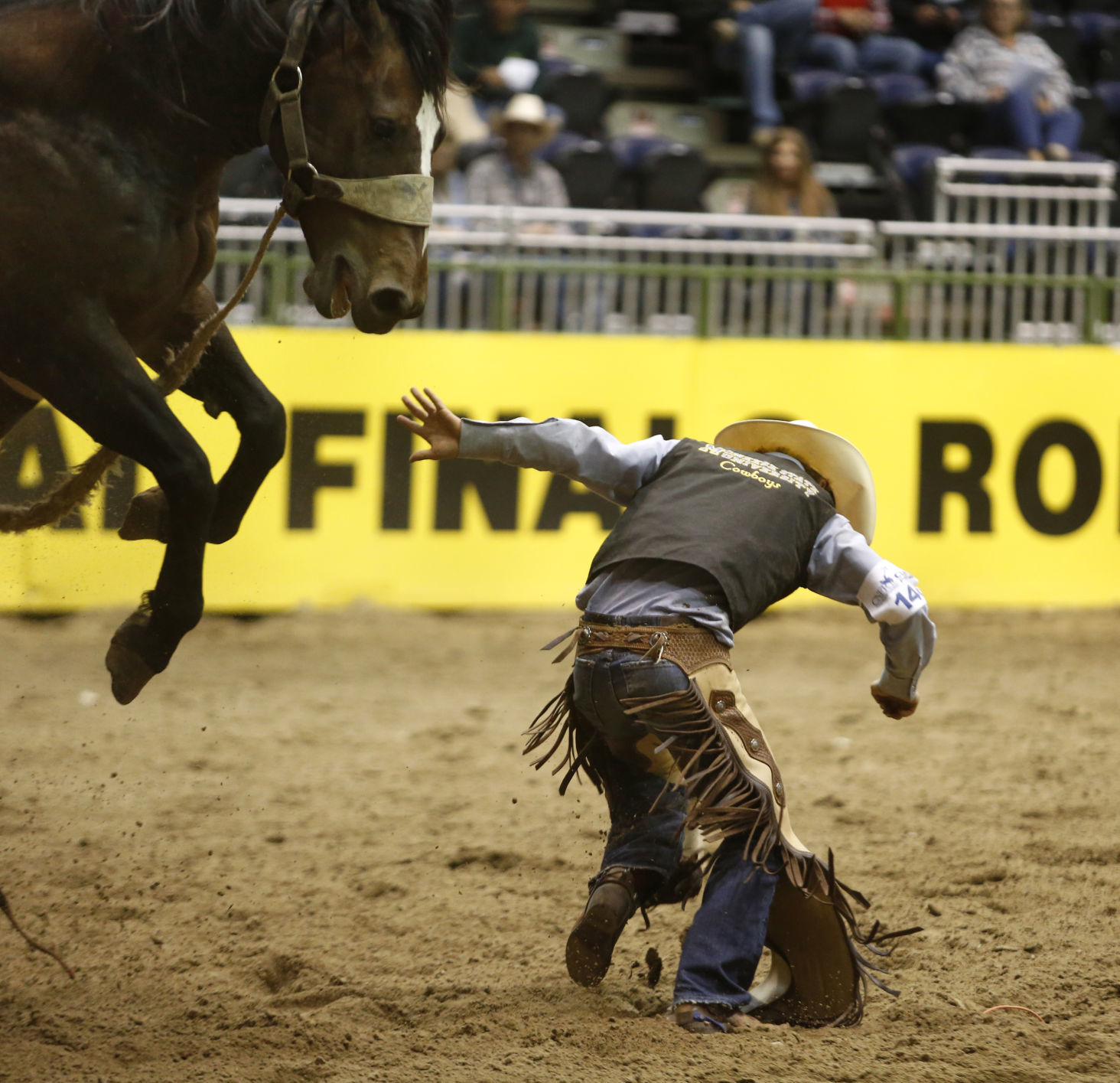 CNFR - Monday
